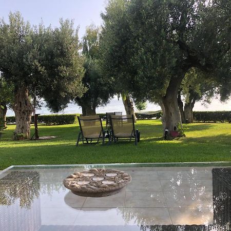 Villa Anemi เนอา สกีโอนี ภายนอก รูปภาพ