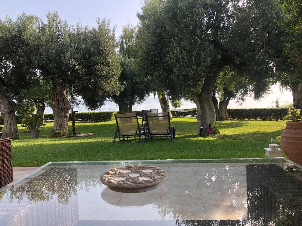 Villa Anemi เนอา สกีโอนี ภายนอก รูปภาพ