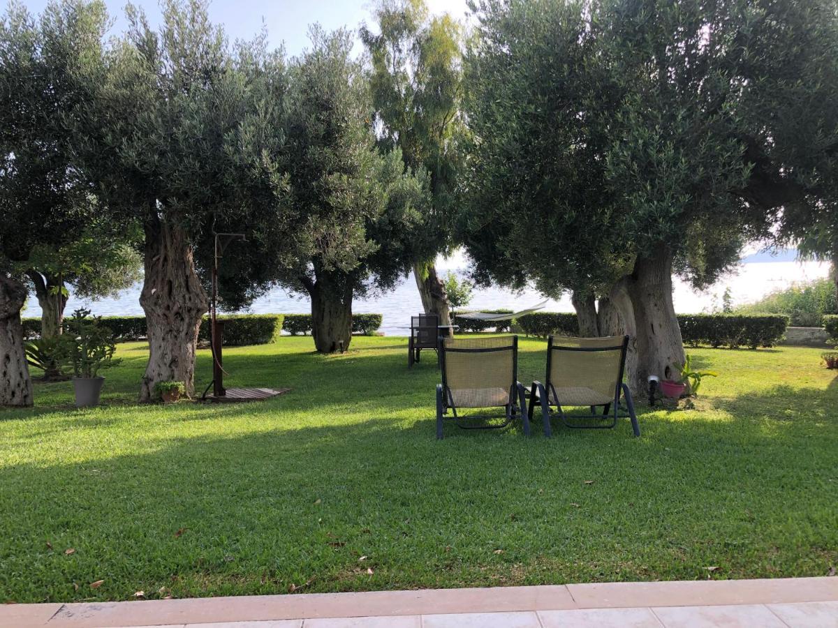 Villa Anemi เนอา สกีโอนี ภายนอก รูปภาพ