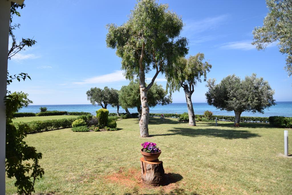 Villa Anemi เนอา สกีโอนี ภายนอก รูปภาพ